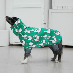 [yandblankzFlying Duck Raincoat Jacket pi hbOObY CR[g UObY Upi ؍ ^ ^ n[lX [h