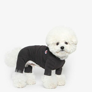 \̔yTUSTUSzBasic solid all in oneiBlackj  hbOEFA ̕ ^ ^ pi hbOObY ؍ X[uX ^