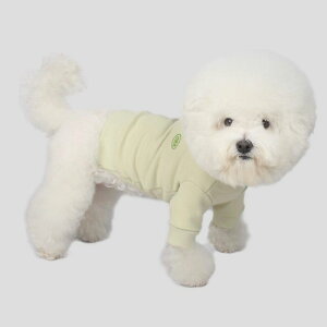 \̔yCRRzSmall Logo SweatshirtsiOlivej ؍ pi hbOObY TVc X[uX hbOEFA  ̕ ^ ^