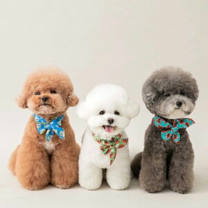 [yBITE MEzAll-day Cooling Scarf ؍ pi hbOObY XJ[t  ĕ y y ʋC 
