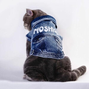 [yMOSHIQAzMoshiqa Denim AJ pi hbOObY hbOEFA  ̕ ^ ^ X[uX m[X