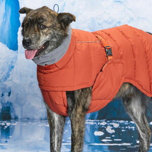 [ymunikundzThermal Up Padding Air 2 -iClay Brickj  hbOEFA ^ ^ ^ t ĕ H ~ h