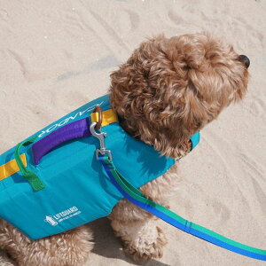 \̔yiCANDORzPaesaver Life JacketiTurquois Bluej ؍ uh 킢  v[g ^ [h  CtWPbg NEW ^  o ^ 