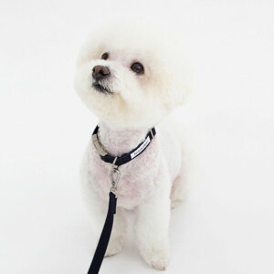 \̔yforeverybarizClassic Pet CollariDark Navyj ؍ pi hbOObY  ̎ hbOJ[  p v S