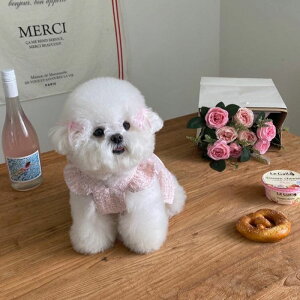 \̔yHi YeboozAriel Tweed Ops (Pink)  hbOEFA ̕ ^ ^ s[X hX t  H t