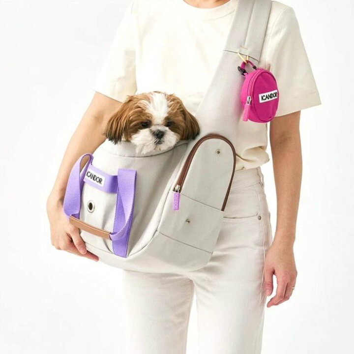 楽天市場】※予約販売【iCANDOR】PEEK-A-BOO BAG（Plum Gray）iCANDOR 