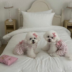 \̔yHi YeboozVenice Collection romperiPinkj  hbOEFA ̕ ^ ^ t  H t ĕ H