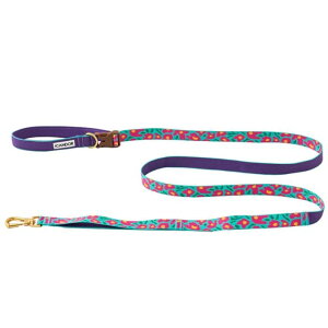 [yiCANDORzGentle Leash BoltiBIG FISH MINTj ؍ pi hbOObY ̃[h p[h j [ [h U[h ^