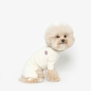 \̔yTUSTUSzBasic solid all in oneiIvoryj  hbOEFA ̕ ^ ^ ^ ^ pi hbOObY ؍