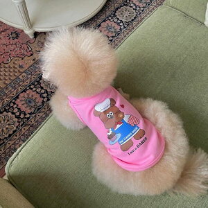 \̔yFREDDIE TALEzI AM TEEiBAKERj pi hbOObY TVc X[uX hbOEFA  ̕ ^ ^ ؍ t