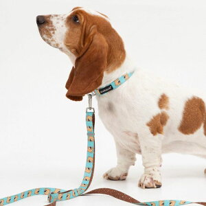 [yandblankzICONIC Joy Bear CollariMintj ؍ pi hbOObY  hbOJ[ ֏^  p [h ̃[h