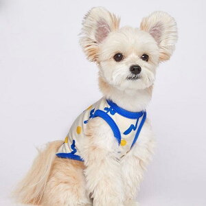 [yMY FLUFFYzCrayon TOPSiu[j ؍ uh 킢  v[g ^ NEW t  H ~ y 