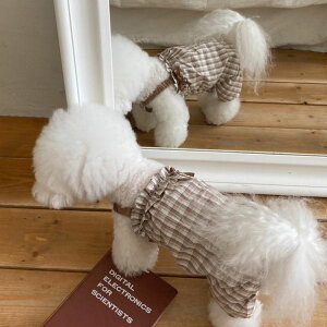 \̔yHi YeboozLeeds Collection (Nbv/p[X)  hbOEFA ̕ ^ ^ pi hbOObY ؍ t 