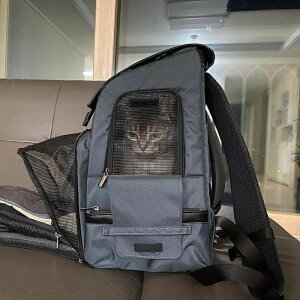 \̔yINSIDE DOG & CATzInside L Backpack1iO[/ubNj ؍ uh 킢  v[g ^ obO XO bN L[obO }bg gC NEW  ~ o