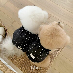 [ynear by uszHeart RomperiBlackj  hbOEFA ̕ ^ ^ pi hbOObY ؍ X[uX t