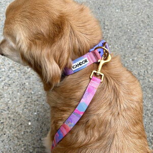 \̔yiCANDORzGentle Leash BoltiMILKY WAYj ؍ uh 킢  v[g ^  n[lX [h UObY NEW ^ ^ 