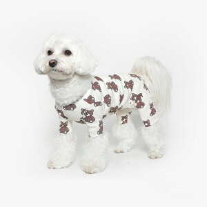 [yTUSTUSzToy Bear All In OneiIvoryj  hbOEFA ̕ ^ ^ pi hbOObY ؍ t 