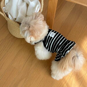 [yOUNCEzTerry stripe frill crop topiBlackj ؍ pi hbOObY TVc X[uX hbOEFA  ̕ ^ ^