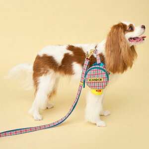 [yiCANDORzGentle Leash Bolt LongiEDINBURGH CHECKj pi hbOObY  n[lX [h Upi ^ ^ ؍ U[h