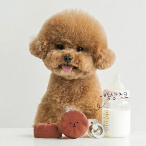 [yBITE MEzMy Siblings Latex Toy / oCg~[  ybg ebNX 񂿂 v[h rVt[[ }`[Y S o[ p hbOgC ߋ 킢 ^ ^ 