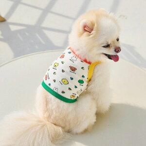 [ynouttizHello Miffy&Friends crop topisummer ver.j  hbOEFA ~btB[ miffy ؍ pi hbOObY ̕ ^ ^ 