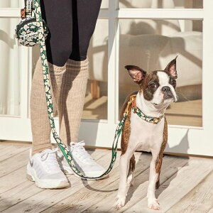 [yiCANDORzGentle LeashiBIG FISH BLACKj ؍ uh 킢  v[g ^  n[lX [h UObY NEW ^ t  