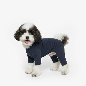 \̔yTUSTUSzBasic solid all in oneiNavyj  hbOEFA ̕ ^ ^ ؍ pi hbOObY t ĕ