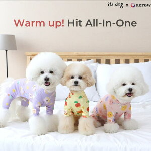 \̔yITS DOGzWarm up Hit All in one  hbOEFA ̕ pi hbOObY ؍ ^ ^ ^ ^ ^