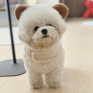 [yBeBe Breathzpuppy bear harnessiCreamj pi hbOObY n[lX hbOn[lX n[lX pn[lX [h p[h U[h l[^O ؍