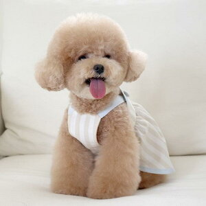 \̔ynear by uszsherbet ops (beige) ؍ uh 킢  v[g ^ s[X hX NEW t  H 