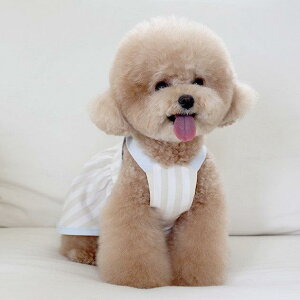 \̔ynear by uszsherbet ops (beige) ؍ uh 킢  v[g ^ s[X hX NEW t  H 