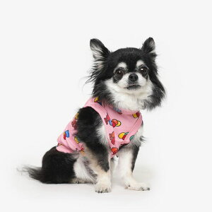 \̔yTUSTUSzCool Sleeveicandyj  hbOEFA ̕ ؍ pi hbOObY ^ ^ ^ ^