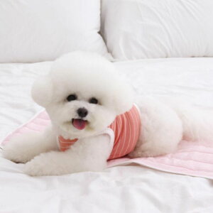 \̔yChiotzCool mat with embroidered nameiBaby Pinkj ؍ uh 킢  v[g ^ obO XO XOobO L[obO ̎qObY ̎q }bg 