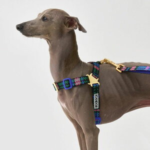 [yiCANDORzNo-Pull HarnessiURBAN CHECKSj pi hbOObY n[lX hbOn[lX n[lX pn[lX Upi ؍ y v