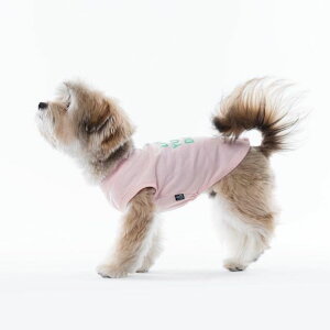 [ySniff × OhBoy!zCAMPAIGN BASIC TOPSisNj ؍ uh 킢  v[g ^ NEW t  H