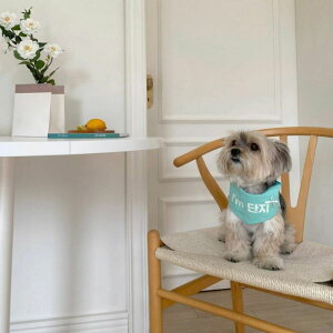 \̔yBonjour TOU-TOUzCandy Cotton Scarf - Cool Night RightiMintj pi hbOObY hbOEFA  ̕ X[uX ^ ^ ؍ 