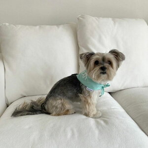 \̔yBonjour TOU-TOUzCandy Cotton Scarf - Cool Night RightiMintj pi hbOObY hbOEFA  ̕ X[uX ^ ^ ؍ 