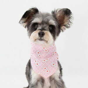 \̔yforeverybarizRosie Scarf pi hbOObY ؍ hbOEFA  ̕ ^ ^ `FbN ԕ