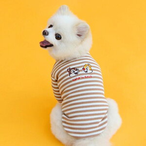 [yITS DOGzDisney chip'n dale ribbed t-shirtiBrownj  hbOEFA ̕ TVc X[uX pi hbOObY ؍ ^ ^