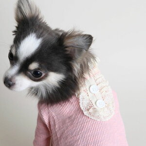 [yZOOBICOz[Xdău҂݃Jbg\[isNj ؍ uh 킢  v[g ^ NEW t  