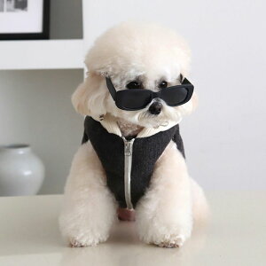 \̔yChiotzMitte Knit PaddingiPowder Charcoalj  hbOEFA ̕ ^ ^ pi hbOObY ~ ~ h
