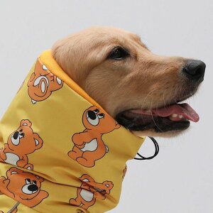 \̔yandblankzLazy Crocodile Raincoat Jacket ̃CR[g CR[g |` ȒP pJ CEFA 킢 LN^[  ybgCR[g CR[g 