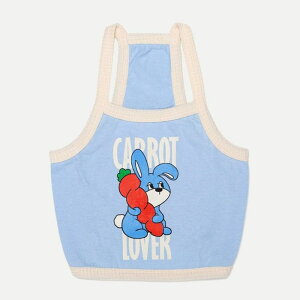 [yandblankzCarrot Bunny crop topiSkybluej  hbOEFA ̕ ^ ^ pi hbOObY ؍ t 