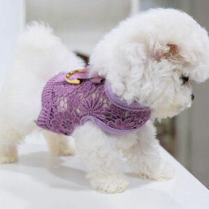 \̔yBeBe Breathzjuice harnessiPurplej ؍ uh 킢  v[g ^ n[lX [h UObY NEW t  H ~ v 