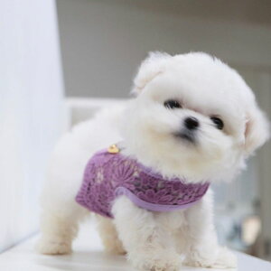 \̔yBeBe Breathzjuice harnessiPurplej ؍ uh 킢  v[g ^ n[lX [h UObY NEW t  H ~ v 