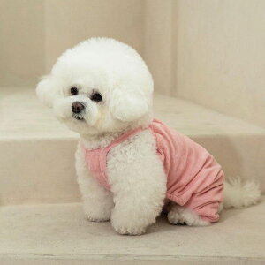 [yOUNCEzterry all in oneiPinkj ؍ pi hbOObY TVc X[uX hbOEFA  ̕ ^ ^