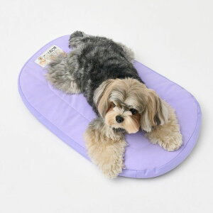 [yiCANDORzURBAN NEST CUSHIONiLAVENDERj ؍ pi hbOObY pNbV hbONbV NbV hbOxbh pxbh ybgNbV xbh