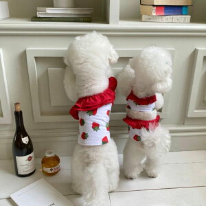 [yHi YeboozSwimwear CollectioniStrawberryj ؍ uh 킢  v[g ^  NEW 