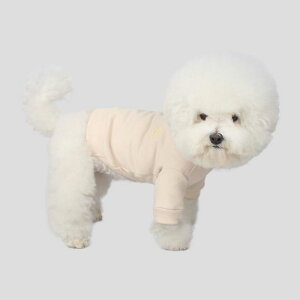 \̔yCRRzSmall Logo SweatshirtsiCreamj ؍ pi hbOObY TVc X[uX hbOEFA  ̕ ^ ^