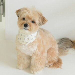 [yazalleazFlower Scarf pi hbOObY XJ[t K[[Rbg ԕ   K ^ ^